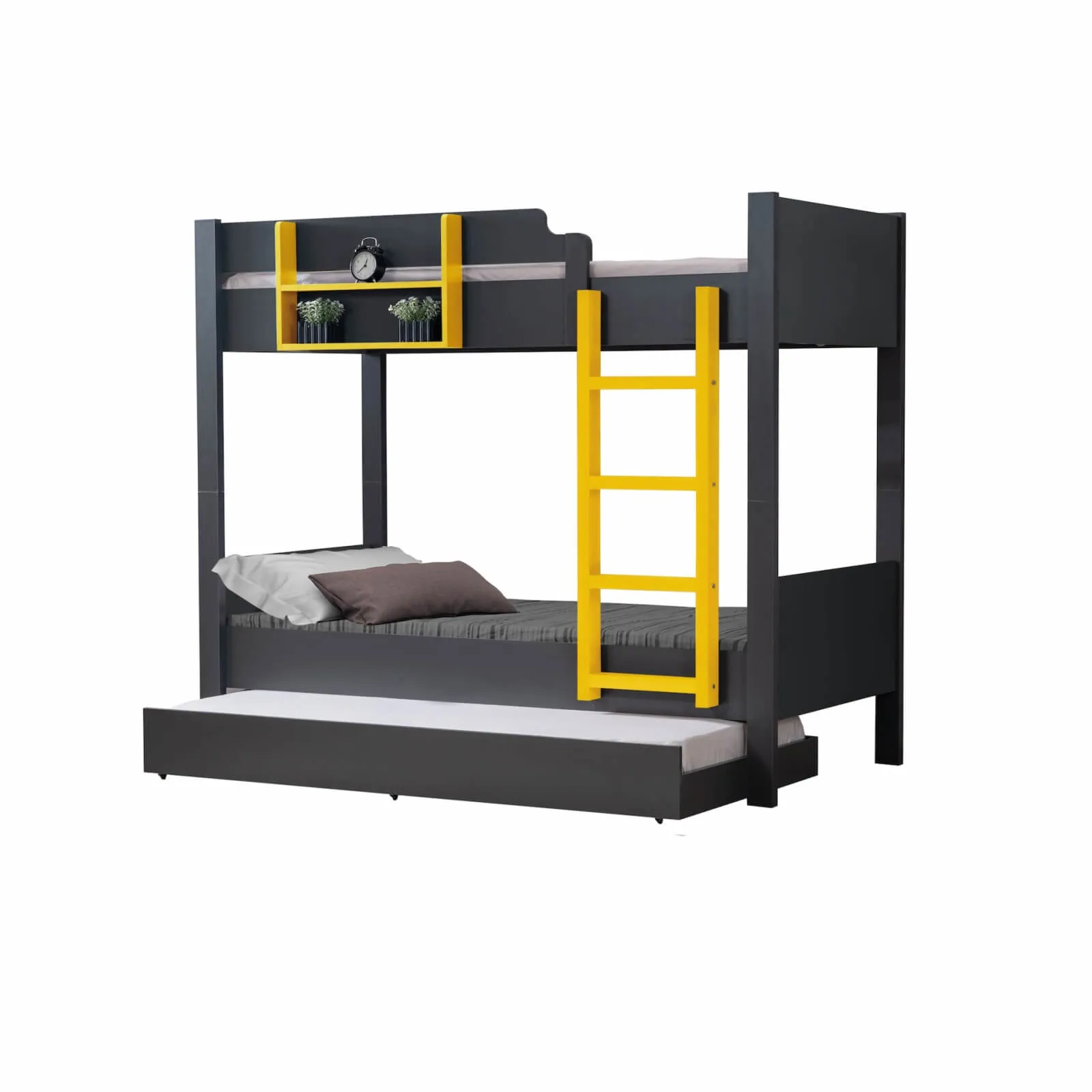 Asya Sarı Ranza (Renkli)